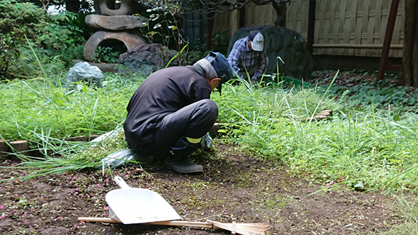 除草作業の様子